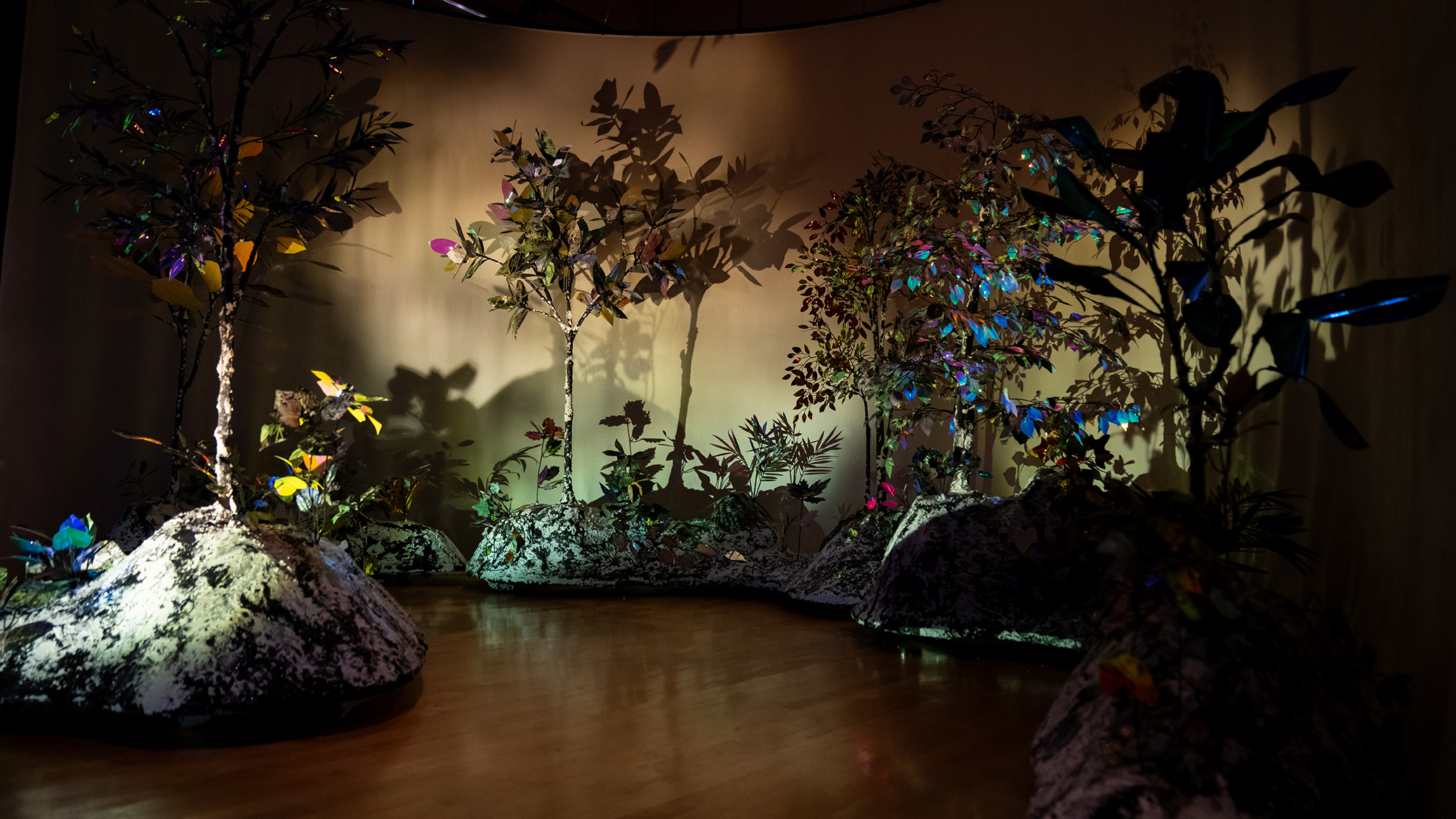 Dim forest setting, with trees, rocks, and multi-colored lights in a gallery.
